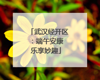 武汉经开区：端午安康 乐享妙趣
