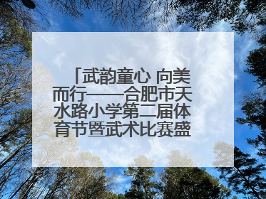 武韵童心 向美而行——合肥市天水路小学第二届体育节暨武术比赛盛大开幕