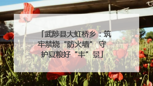 武陟县大虹桥乡：筑牢禁烧“防火墙” 守护夏粮好“丰”景