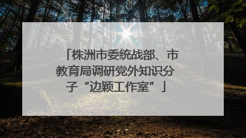 株洲市委统战部、市教育局调研党外知识分子“边颖工作室”