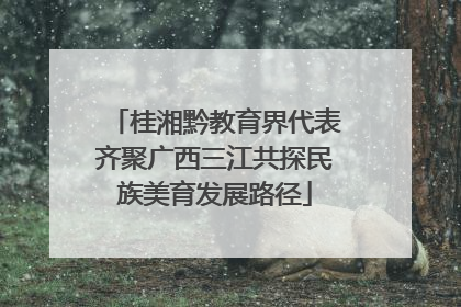 桂湘黔教育界代表齐聚广西三江共探民族美育发展路径