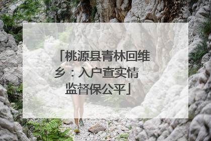 桃源县青林回维乡：入户查实情 监督保公平