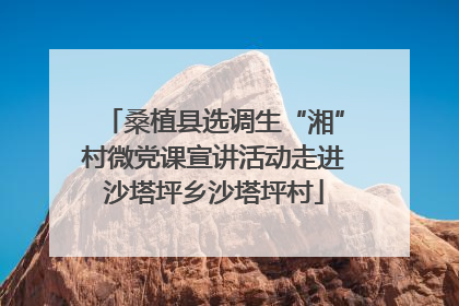 桑植县选调生“湘”村微党课宣讲活动走进沙塔坪乡沙塔坪村