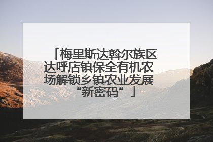 梅里斯达斡尔族区达呼店镇保全有机农场解锁乡镇农业发展“新密码”