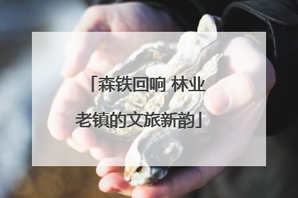 森铁回响 林业老镇的文旅新韵