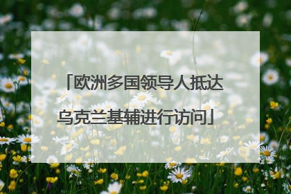 欧洲多国领导人抵达乌克兰基辅进行访问