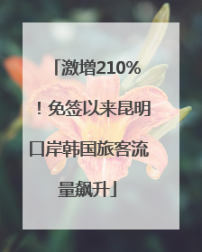 激增210%！免签以来昆明口岸韩国旅客流量飙升