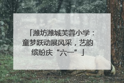 潍坊潍城芙蓉小学：童梦跃动展风采，艺韵缤纷庆“六一”