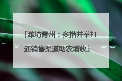 潍坊青州：多措并举打通销售渠道助农增收