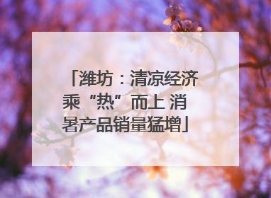 潍坊：清凉经济乘“热”而上 消暑产品销量猛增