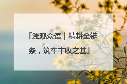 潍观众语｜精耕全链条，筑牢丰收之基