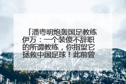 潘粤明炮轰国足教练伊万：一个装傻不辞职的所谓教练，你指望它拯救中国足球！此前曾多次发文评价国足