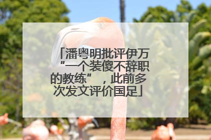 潘粤明批评伊万“一个装傻不辞职的教练”，此前多次发文评价国足
