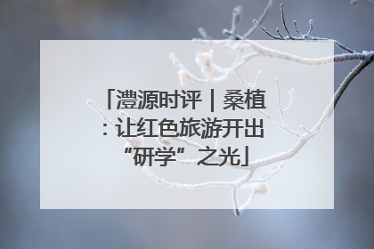 澧源时评｜桑植：让红色旅游开出“研学”之光