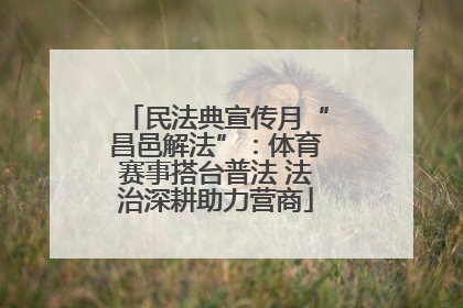 民法典宣传月“昌邑解法”：体育赛事搭台普法 法治深耕助力营商