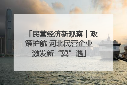 民营经济新观察｜政策护航 河北民营企业激发新“冀”遇