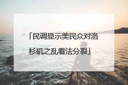 民调显示美民众对洛杉矶之乱看法分裂