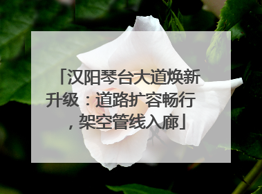 汉阳琴台大道焕新升级：道路扩容畅行，架空管线入廊