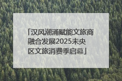 汉风潮涌赋能文旅商融合发展2025未央区文旅消费季启幕