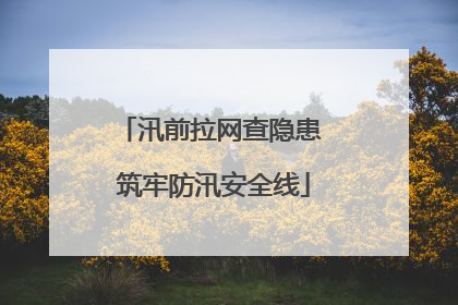汛前拉网查隐患 筑牢防汛安全线