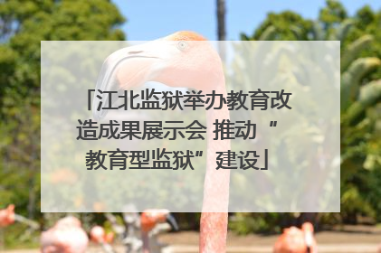 江北监狱举办教育改造成果展示会 推动“教育型监狱”建设