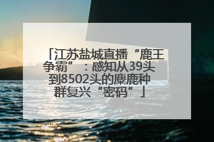 江苏盐城直播“鹿王争霸”：感知从39头到8502头的麋鹿种群复兴“密码”