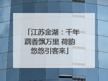 江苏金湖：千年藕香飘万里 荷韵悠悠引客来