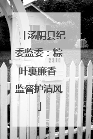 汤阴县纪委监委：粽叶裹廉香 监督护清风