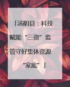 汤阴县：科技赋能“三资”监管守好集体资源“家底”