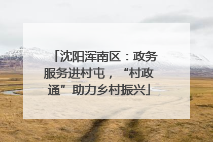 沈阳浑南区：政务服务进村屯，“村政通”助力乡村振兴