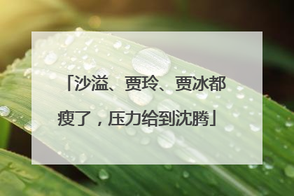 沙溢、贾玲、贾冰都瘦了，压力给到沈腾