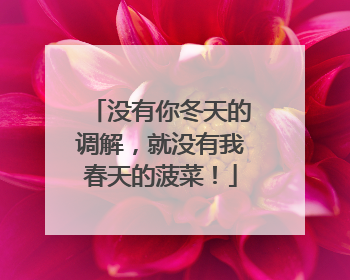 没有你冬天的调解，就没有我春天的菠菜！