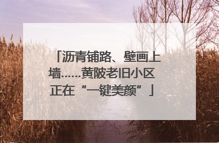 沥青铺路、壁画上墙……黄陂老旧小区正在“一键美颜”