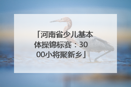 河南省少儿基本体操锦标赛：3000小将聚新乡