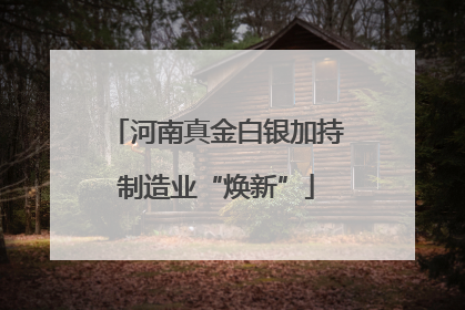 河南真金白银加持制造业“焕新”