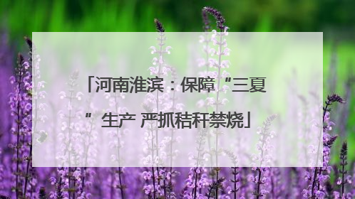 河南淮滨：保障“三夏”生产 严抓秸秆禁烧