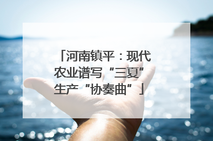 河南镇平：现代农业谱写“三夏”生产“协奏曲”