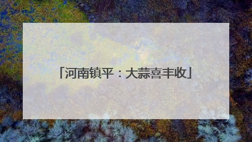河南镇平：大蒜喜丰收
