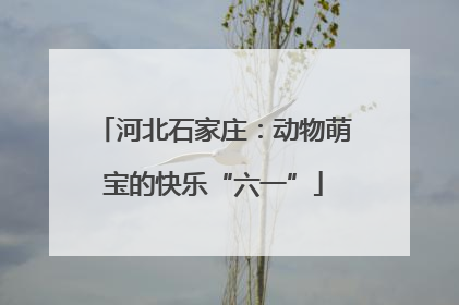 河北石家庄：动物萌宝的快乐“六一”