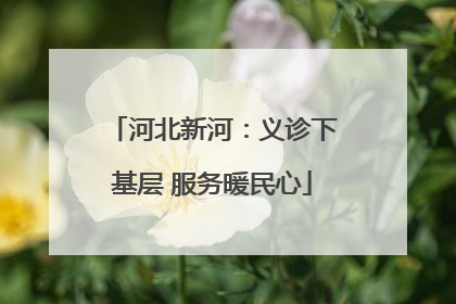 河北新河：义诊下基层 服务暖民心