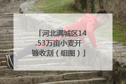 河北满城区14.53万亩小麦开镰收割（组图）