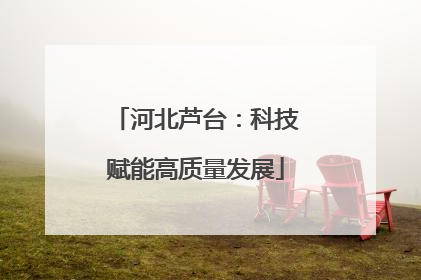 河北芦台：科技赋能高质量发展