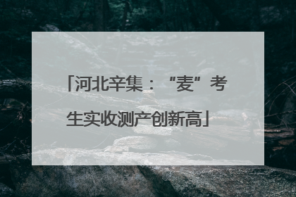 河北辛集：“麦”考生实收测产创新高