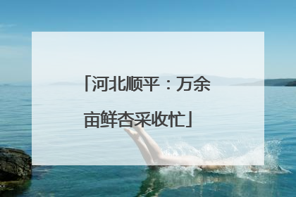 河北顺平：万余亩鲜杏采收忙