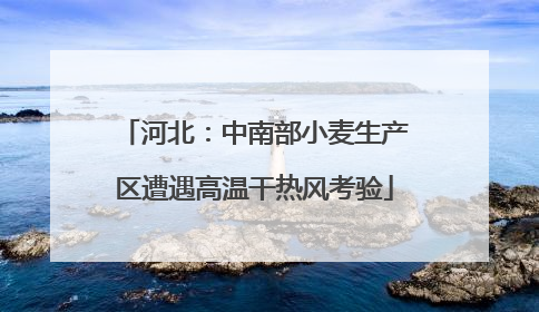 河北：中南部小麦生产区遭遇高温干热风考验