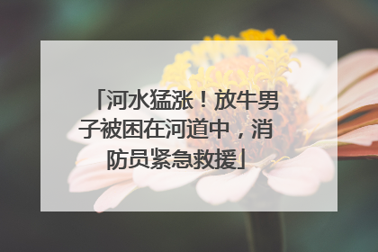 河水猛涨！放牛男子被困在河道中，消防员紧急救援