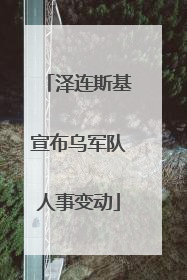 泽连斯基宣布乌军队人事变动