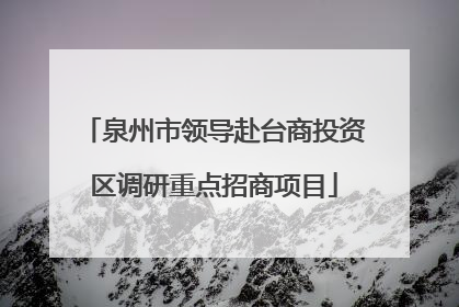 泉州市领导赴台商投资区调研重点招商项目