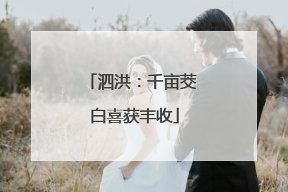 泗洪：千亩茭白喜获丰收