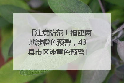 注意防范！福建两地涉橙色预警，43县市区涉黄色预警